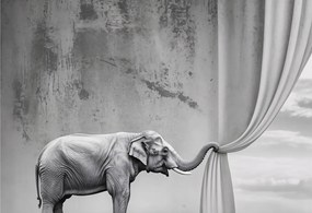 Fotótapéta Flizelina falra 3D Loft Szürreális elefánt 152x104 Ragasztó