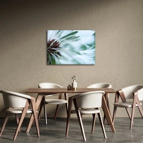 Kép - Egy virág részlete (70x50 cm)