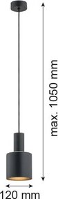 Argon SINES 4219 Függőlámpa 1x15W/E27 IP20