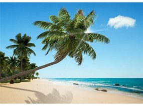 XXL Beach fotó tapéta 360 x 254 cm, 4 részből áll
