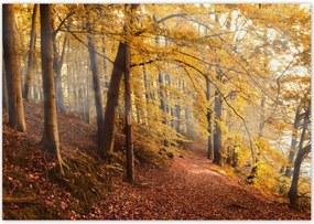 Poszterek 100x70 Tájkép Látvány