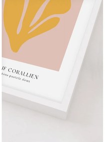 Coral Paradise kép