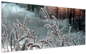 Kép - Fagyott rét (120x50 cm)