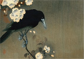 Divatos 3D Fali Tapéta Egzotikus természet 312x219 Ragasztóval