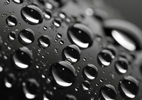 Poszter 100x70cm Mikrokozmosz cseppek