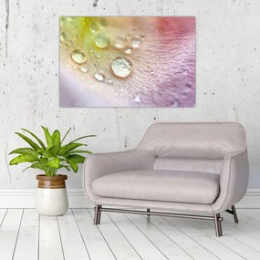 Kép - Harmatcseppek (90x60 cm)
