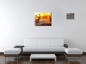 Gario Vászonkép Eros szarvas Méret: 100 x 70 cm