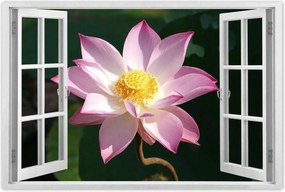 Poszterek 90x60 LĂłtusz LĂłtuszvirĂĄg