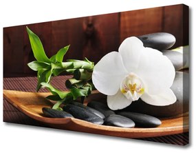 Canvas kép Bamboo Zen White Orchid 100x50 cm