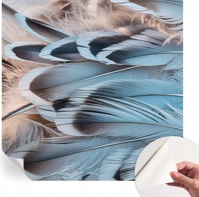 Öntapadós tapéta Fali furnér 3D hatás Kék tollak 250x250 cm