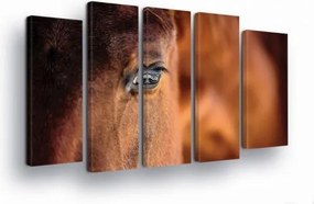 Vászonkép 150x100 Ló szem ló portré állat természet erő nyugalom dekoráció