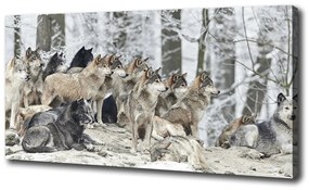 Vászonkép Farkasok télen oc-171243935