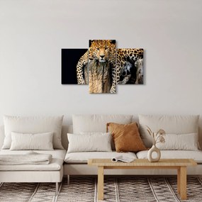 Kép - Gepárd (90x60 cm)