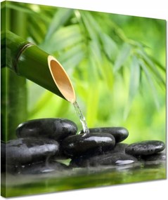 Vászonkép 30x30 Sanus per aquam Forrás