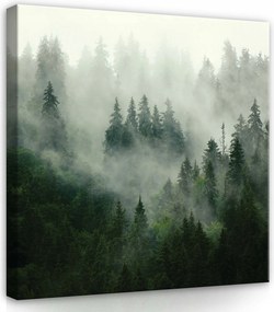 Vászonkép 80x80 Erdő a ködben ködös erdő természet tájkép misztikum nyugalom csend