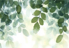 Fotótapéta Levelek Zöld Természet Hálószoba Nappali Tapéta Flizelina 200x140