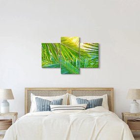 Kép - Pálmalevelek (90x60 cm)