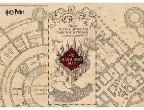 Gyerek fotótapéta Harry Potter Marauders térkép252 x 182 cm, 4 részből álló, 4 részes