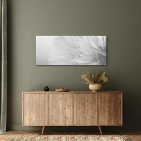 Kép - Pitypang (120x50 cm)
