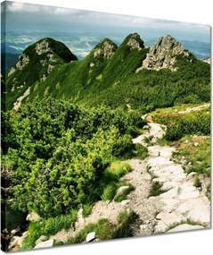 Vászonkép 40x40 Tátra hegyei