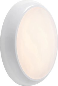 Endon HERO 95544 mennyezeti lámpa 18W 3000K|4000K|6000K IP65