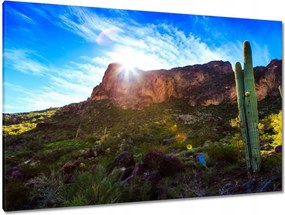 Festmények 120x80 Tájkép kaktuszokkal
