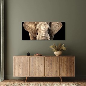 Kép - Afrikai elefánt (120x50 cm)