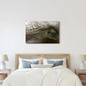 Kép - Közelkép az öreg elefánt szeméről (90x60 cm)