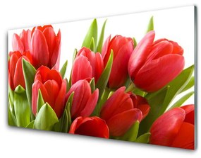 Modern üvegkép Tulipán virágok Plant 120x60cm