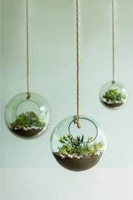 Üveg növényterrárium ø 20 cm – Esschert Design