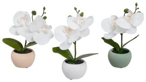 Műnövény szett 3 db-os (magasság 15 cm) Orchid – Casa Selección