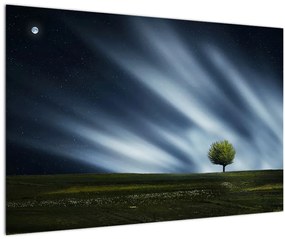 Az aurora borealis képe egy lápvidéken (90x60 cm)