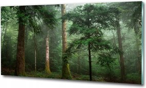 Fotó üvegkép Naplemente tenger 125x50