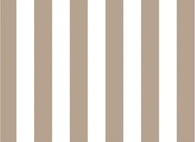 Parato Cristiana Masi Top Stripes Riga 2 barna-fehér csíkos vlies tapéta – 38448