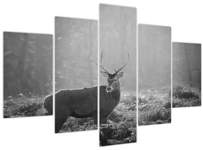 Kép - Szarvas az erdőben, fekete-fehér (150x105 cm)