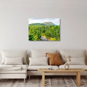 Kép - Babi Hora, Lengyelország (üvegen) (70x50 cm)