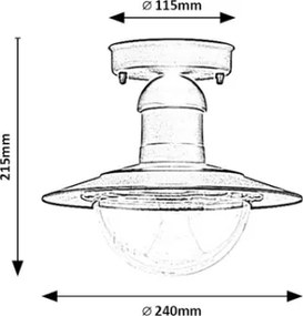 Brilagi - Kültéri mennyezeti lámpa MOLDE 1xE27/60W IP44 fekete
