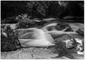 Poszterek 100x70 Hosszú folyó az erdőben