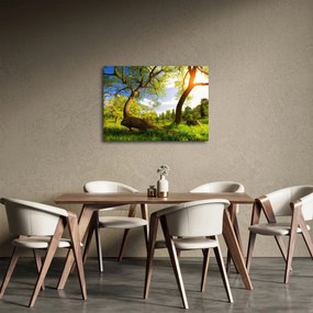 Kép egy tavaszi rétről (70x50 cm)