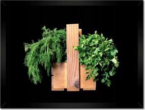 Poszterek keretben 40x30 Petrezselyem kapor gyógynövények