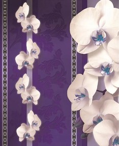 Fotótapéta Orchideák Damaszkusz lila virágok elegancia vinil 184x254 +ragasztó