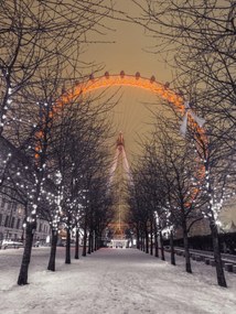 Poszter 60x80cm London Eye éjszaka fákkal, Assaf Frank