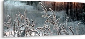 Kép - Fagyott rét (120x50 cm)