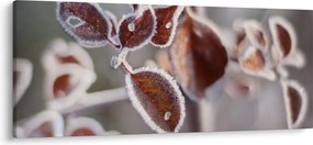 Kép - Levelek részlete (120x50 cm)