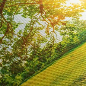Kép - Sunny Forest (órával) (90x30 cm)