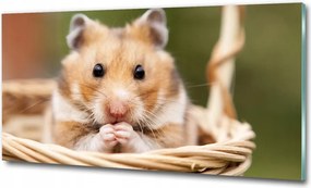 Fotó-üvegkép Hörcsög a kosárban 100x70