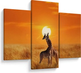 Kép - Zsiráfok a Serengeti Nemzeti Parkban (90x60 cm)