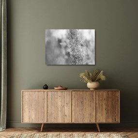 Üveg kép - Boho pampafű (70x50 cm)