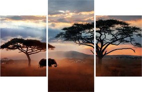 Kép - Serengeti Nemzeti Park, Tanzánia, Afrika (90x60 cm)