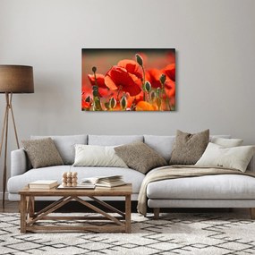 Pipacsok képe (90x60 cm)
